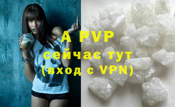 прущие крисы Тавда